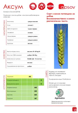 Участие в Открити дни – 30 май 2025 г.