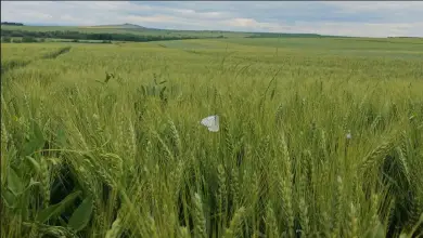 Участие в Открити дни – 30 май 2025 г.