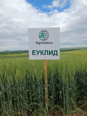 Участие в Открити дни – 30 май 2025 г.