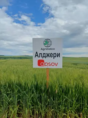 Участие в Открити дни – 30 май 2025 г.
