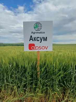 Участие в Открити дни – 30 май 2025 г.