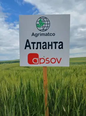 Участие в Открити дни – 30 май 2025 г.